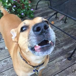 Meet your Posher, Mark